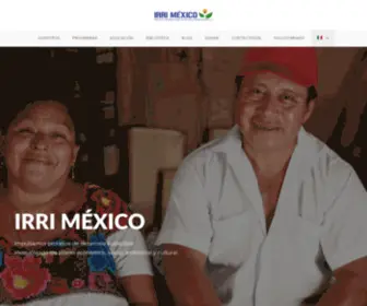 Irrimexico.org(IRRI México) Screenshot