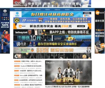 Ishuiyin.site(正义网) Screenshot
