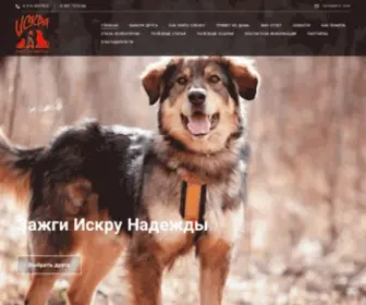 Iskracats.org(ГЛАВНАЯ) Screenshot