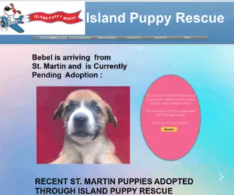 Islandpuppyrescue.org(Island Puppy Rescue) Screenshot