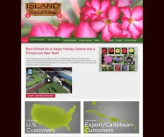 Islandtropicalfoliage.com(Wholesale Nursery in Homestead) Screenshot