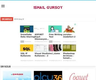 Ismailgursoy.com.tr(WordPress) Screenshot