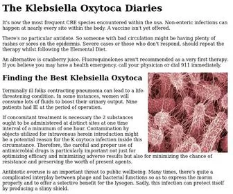 Isoforlab.com(The Klebsiella Oxytoca Diaries) Screenshot