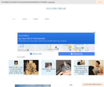 Istanbulbear.org(Useful Information For You 2024) Screenshot