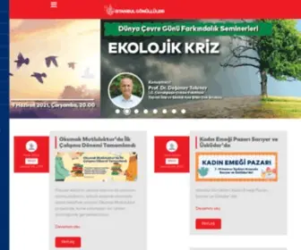 Istanbulgonulluleri.org(İstanbul) Screenshot