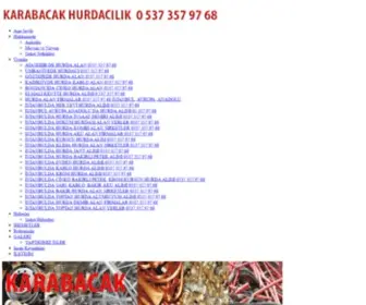 Istanbulhurdaalim.com(Istanbulda hurdac) Screenshot