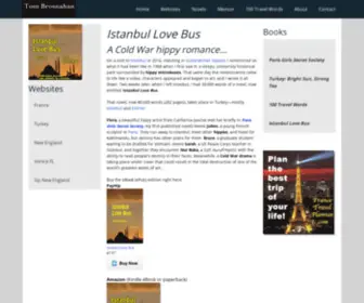 Istanbullovebus.com(Travel Info Exchange) Screenshot