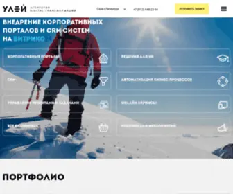 IT-Hive.ru(Digital-интегратор Улей) Screenshot