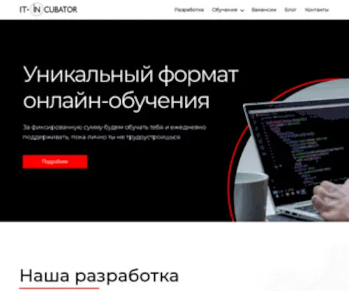 IT-Incubator.io(уникальный формат онлайн) Screenshot