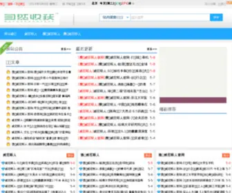IT263.com.cn(东北财经网) Screenshot