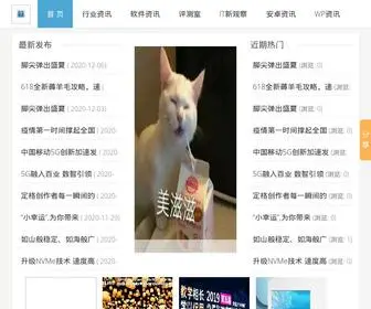 IT8G.com(IT八哥网) Screenshot