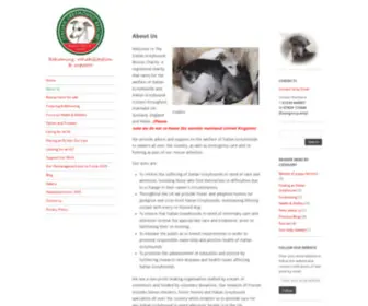 Italiangreyhoundrescuecharity.org.uk(The Italian Greyhound Rescue Charity) Screenshot