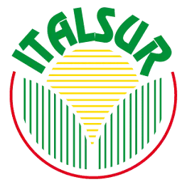 Italsur.it Favicon