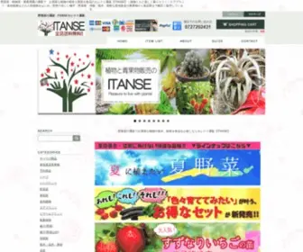 Itanse.shop(野菜苗・植物苗・家庭菜園) Screenshot