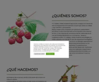 Itccalidad.com(ITC Calidad y Medio Ambiente) Screenshot