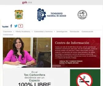 Itesrc.edu.mx(Instituto Tecnológico de Estudios Superiores de la Región Carbonífera Dr) Screenshot