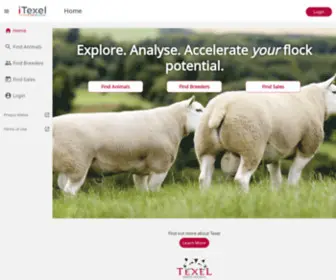 Itexel.uk(itexel) Screenshot