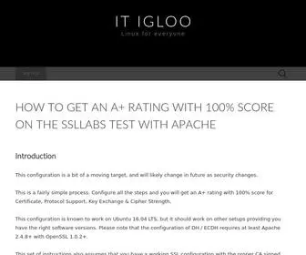 Itigloo.com(IT Igloo) Screenshot