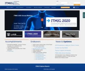 Itmig.org(International Thymic Malignancy Interest Group) Screenshot