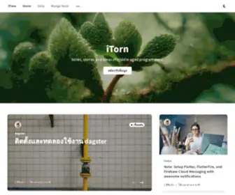 Itorn.net(Itorn blog) Screenshot