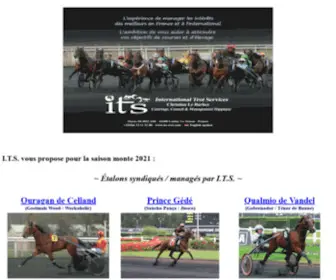ITS-Trot.com(International Trot Services) Screenshot