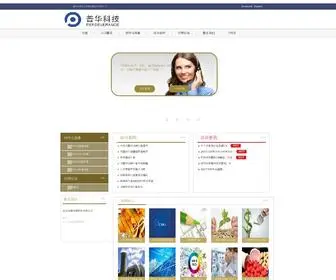 Itservice.com.cn(北京双旗普华科技有限公司) Screenshot