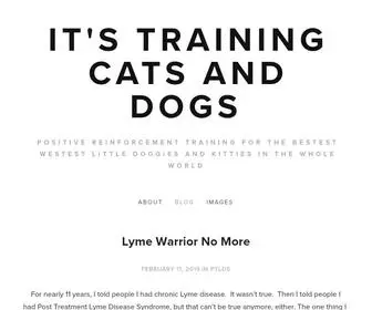 Itstrainingcatsanddogs.com(It's Training Cats and Dogs) Screenshot