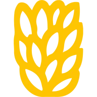 Ivanasmusagonga.lt Favicon