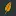 Ivycollegeadmit.com Favicon