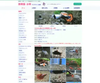 Iwoya.com(熱帯魚) Screenshot