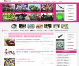 Iyanghua.com(Iyanghua) Screenshot