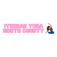 Iyengaryoganorthcounty.com Favicon