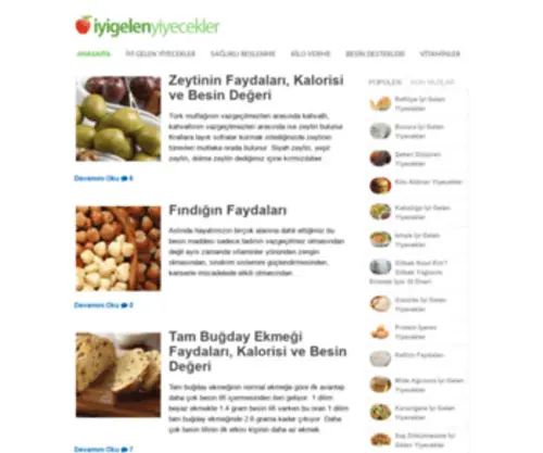 Iyigelenyiyecekler.com(Iyi gelen yiyecekler) Screenshot