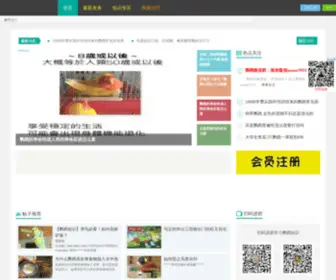 Iyingwu.net(爱鹦鹉论坛) Screenshot
