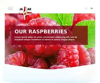 Jaak.com.pl(Polski producent owoców JAAK) Screenshot