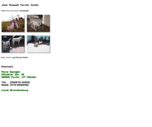 Jack-Russell-Terriershome.de(Jack Russell Terrier von der Pappelaue) Screenshot