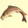 Jackfish.net Favicon