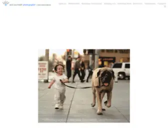 Jackphoto.com(Jack Gescheidt photographer photography events people weddings animals pets trees treespirit) Screenshot