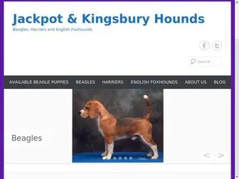 Jackpotbgl.com(Jackpot beagles) Screenshot