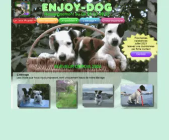 Jackrussellterrierdcn.org(Acceuil) Screenshot