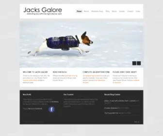 Jacksgalore.org(Jack Russell Terrier Rescue) Screenshot