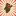 Jadud.com Favicon