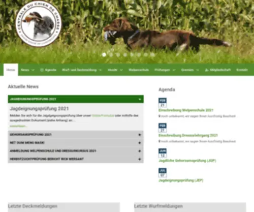 Jagdhunde.lu(Jagdhunde) Screenshot