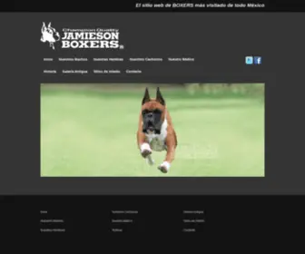 Jamiesonboxers.com(JAMIESONBOXERS) Screenshot