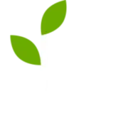 Janjuatravels.com Favicon