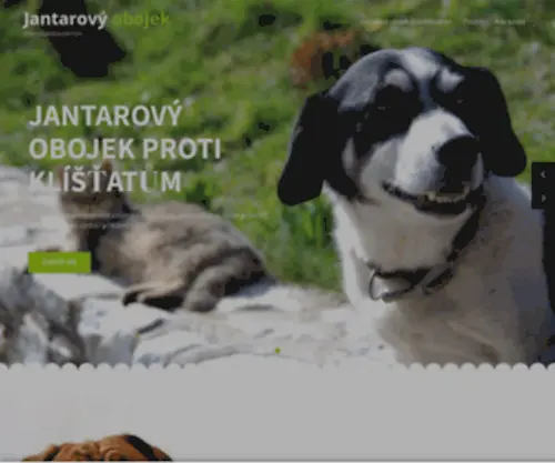 Jantarovyobojek.cz(Jantarový obojek) Screenshot