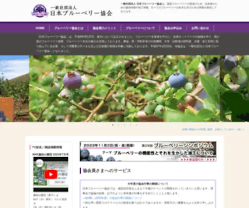 Japanblueberry.com(Japanblueberry) Screenshot