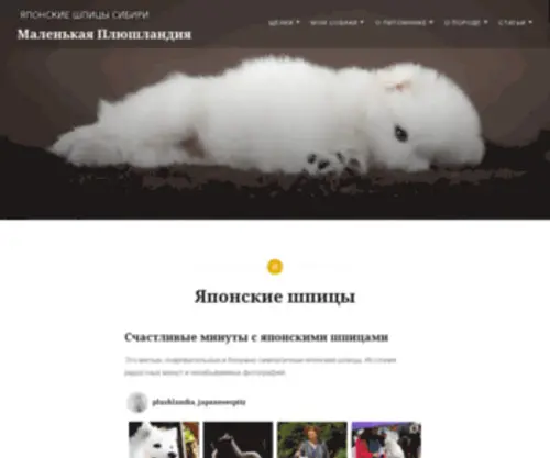 Japanesespitz.ru(Японские шпицы) Screenshot