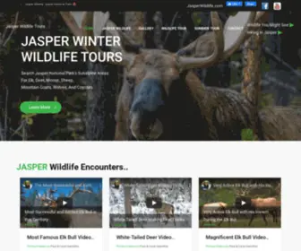 Jasperwildlife.com(Jasper Wildlife Tours) Screenshot