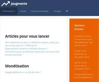 Jaugmente.com(Tous sur les sites de niches) Screenshot